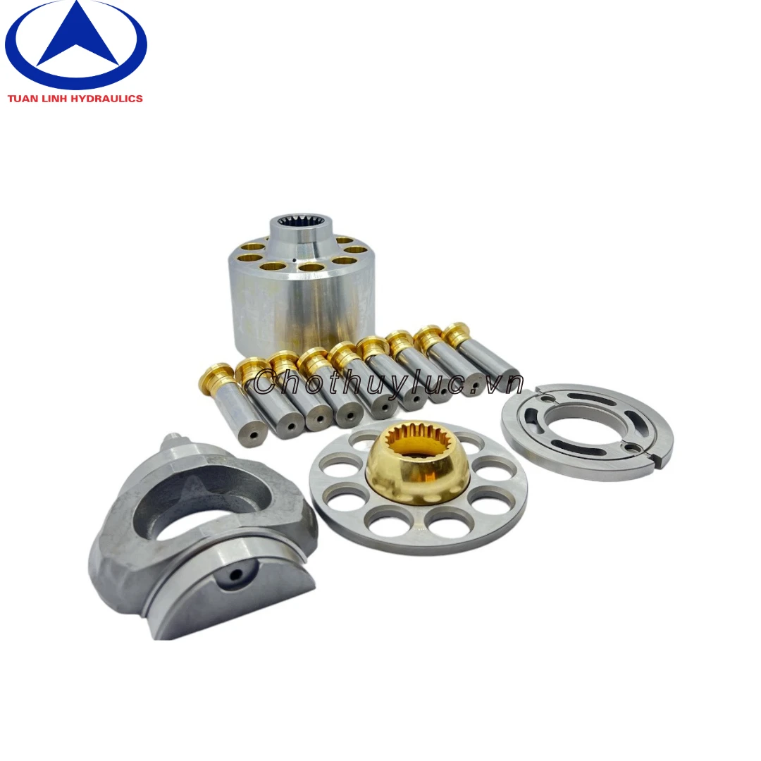 Phụ tùng ruột bơm rung lu Dynapac CA362