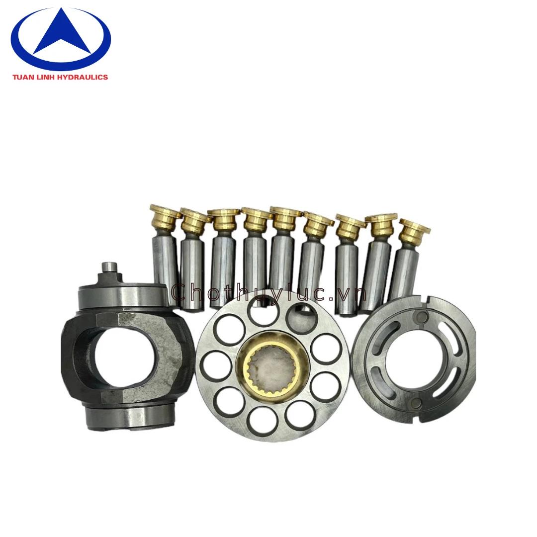 Phụ tùng ruột bơm rung lu Dynapac CA362