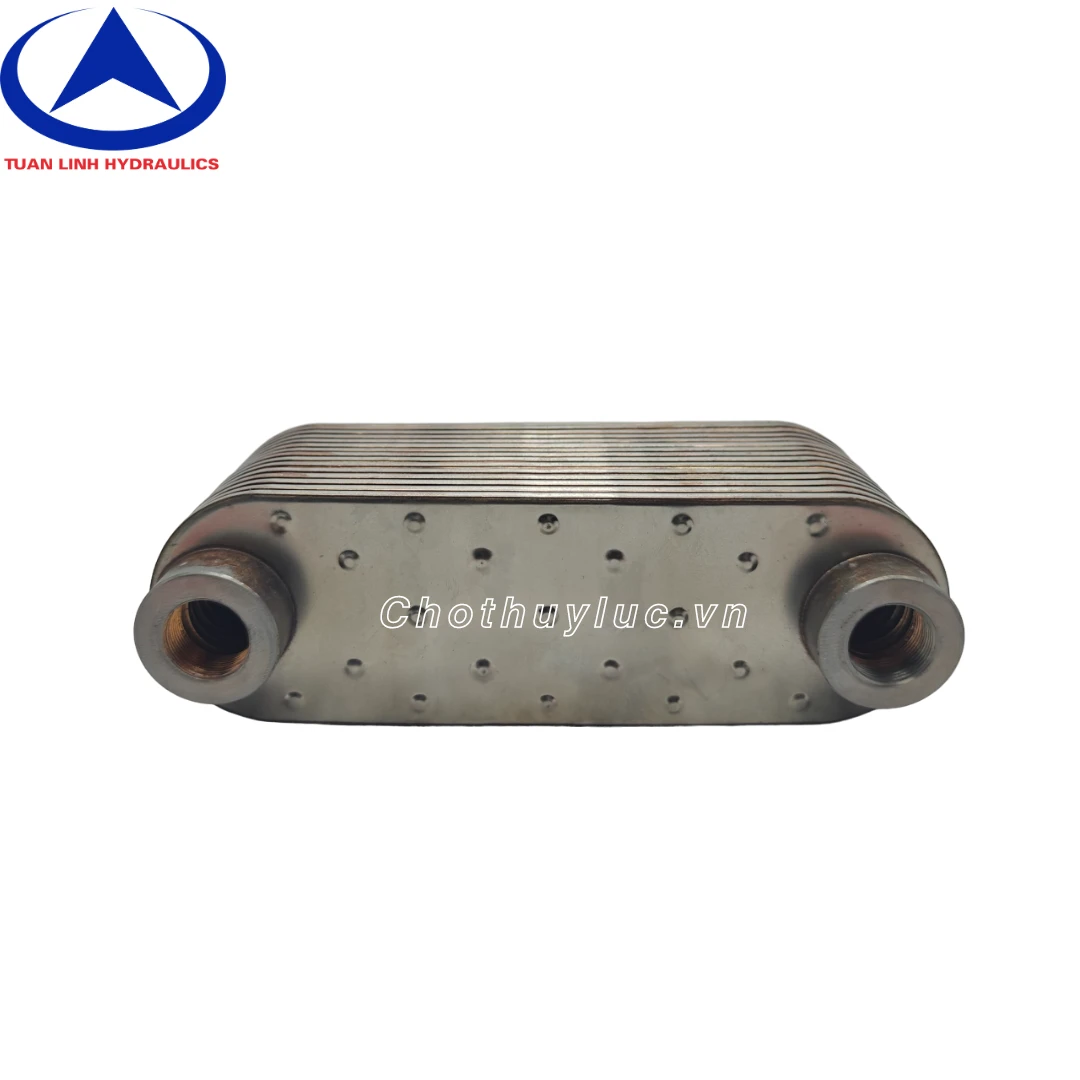 Két sinh hàn cho động cơ Deutz lắp lu Bomag 219