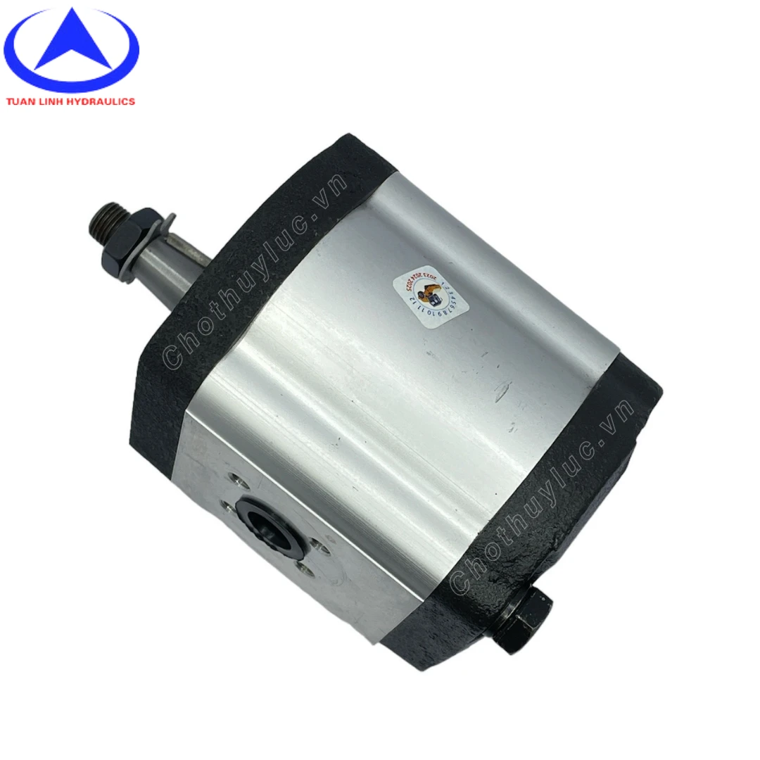Bơm lái lu Bomag 211