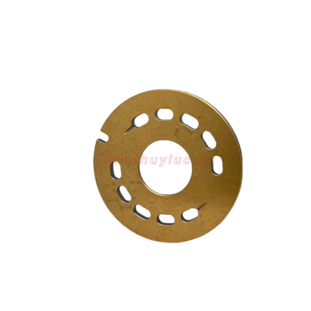Mặt chà A10VG45