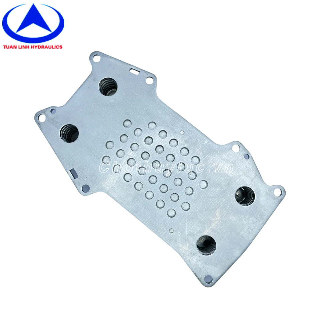 Két sinh hàn động cơ Lu Bomag 211