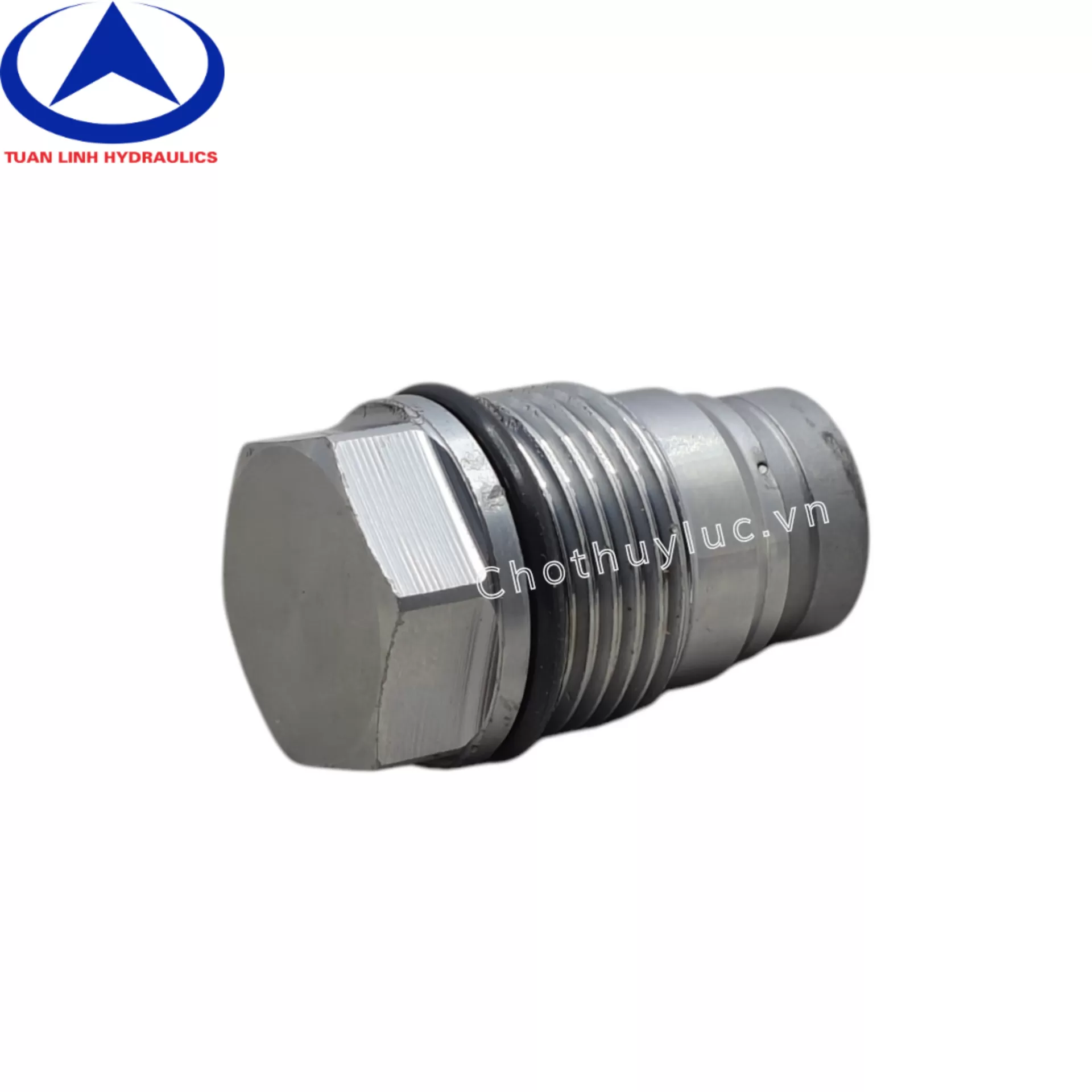 Van áp suất thanh Rail (Limited) động cơ Deutz TCD2012 L04