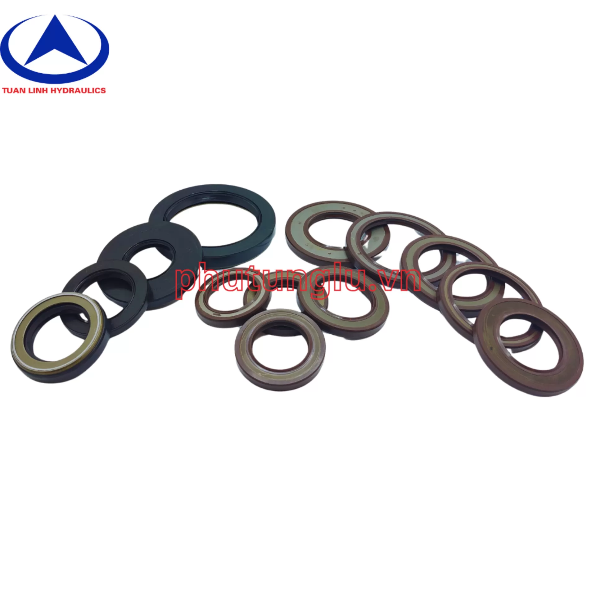 Phớt lò xo 210*240*14.5/18