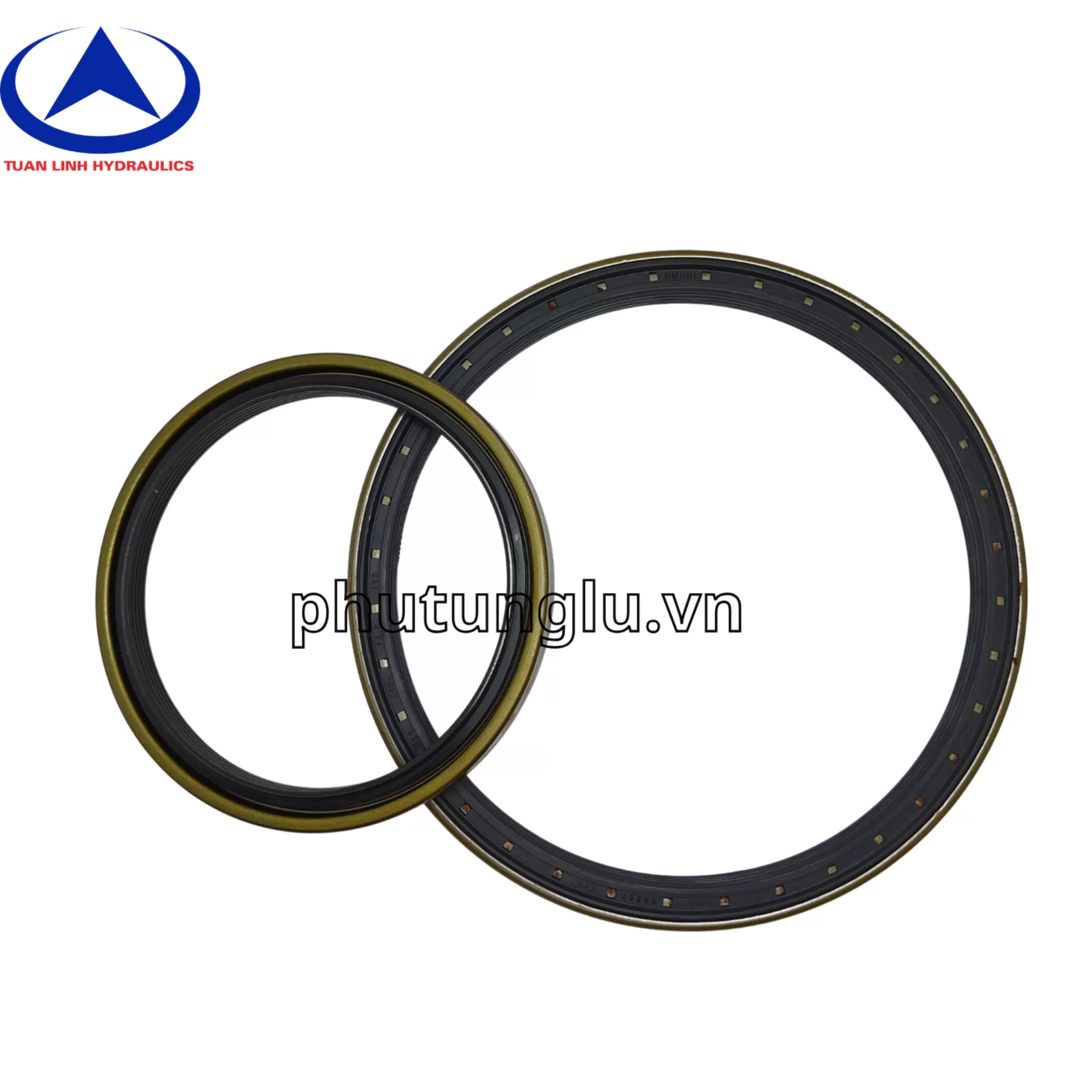 Phớt lò xo 190*225*16