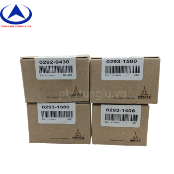 Bạc biên, bạc balie động cơ BF4M2012