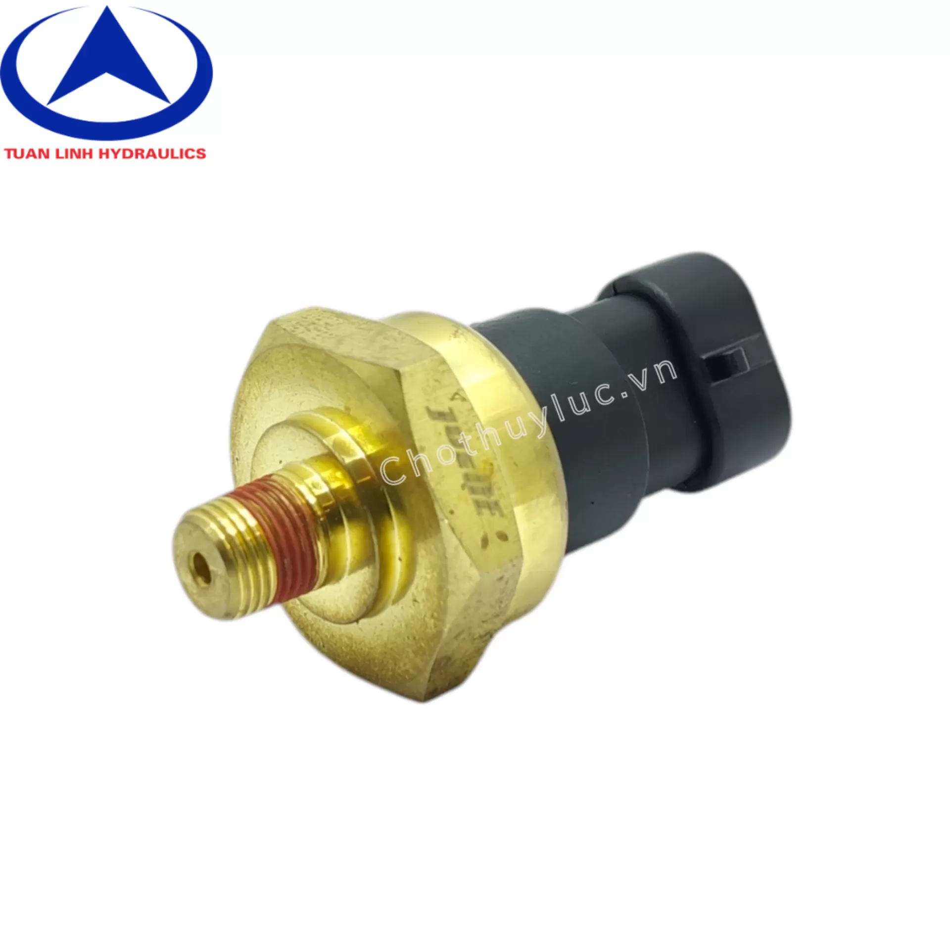Cảm biến áp suất dầu động cơ 4BTA3.9