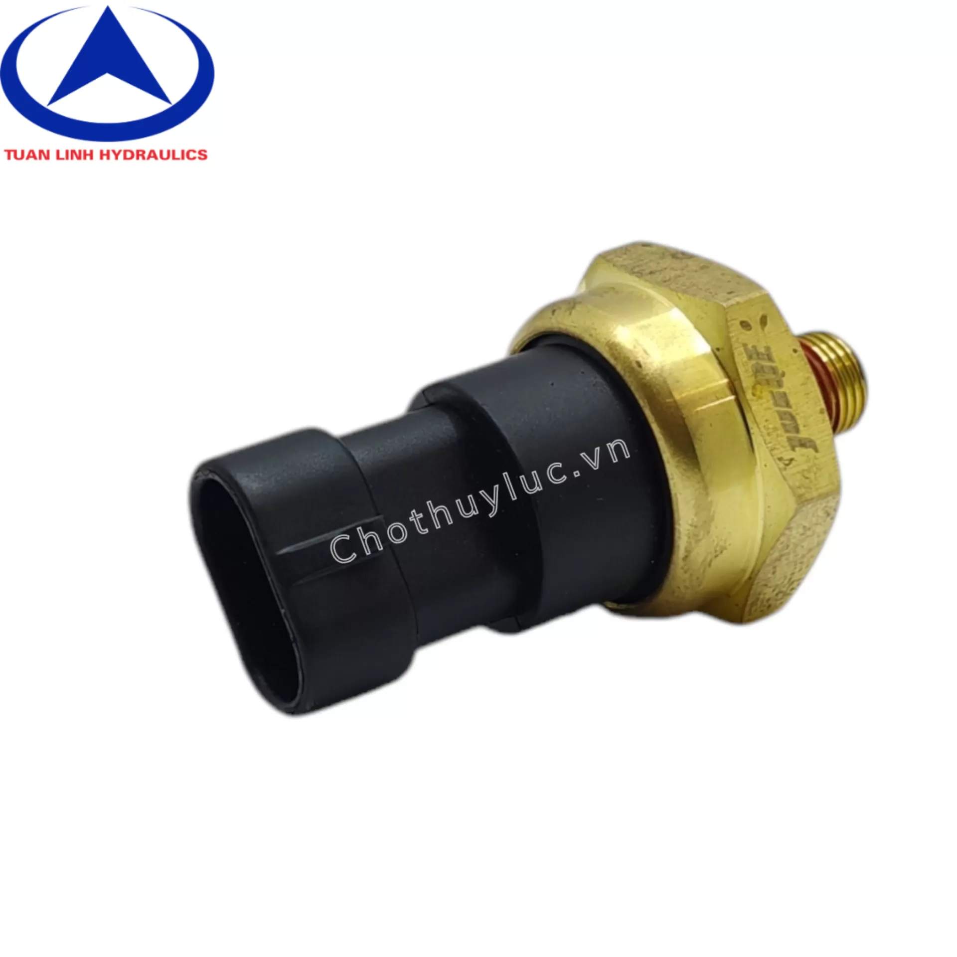 Cảm biến áp suất dầu động cơ 4BTA3.9