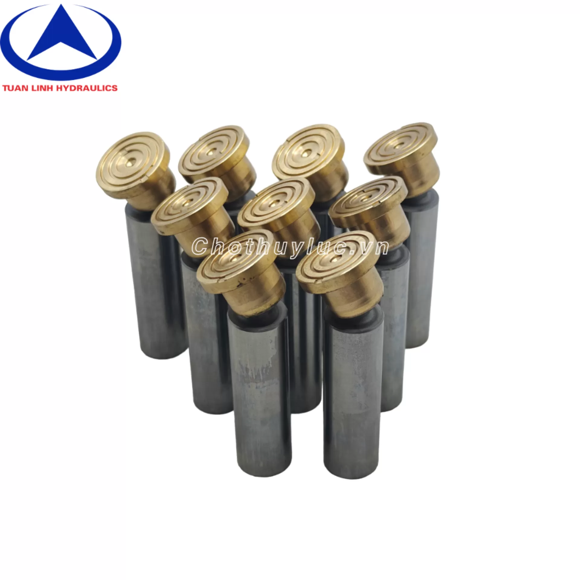 Bộ ruột bơm rung lu Hamm 2420(bao gồm xilanh,piston,mặt chà)